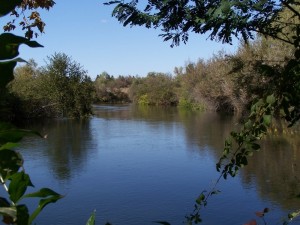 San Joaquin River in Fresno - just west of Highway 99