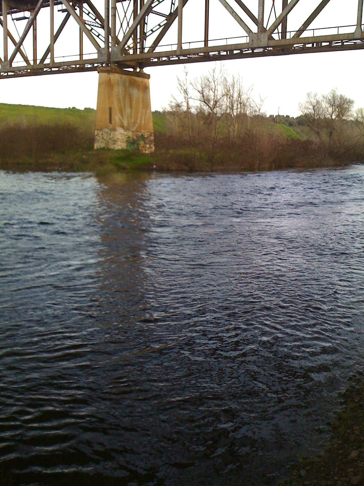 San Joaquin River at Highway 99