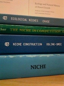 niche books image