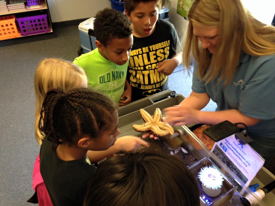 Aletha Lang shares living California tide pool animals with fascinated young students