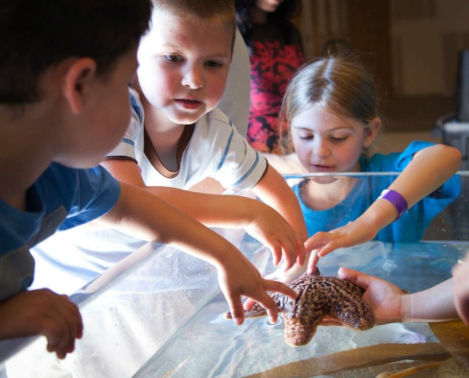 Aquarius Aquarium Institute | Fresno Aquarium