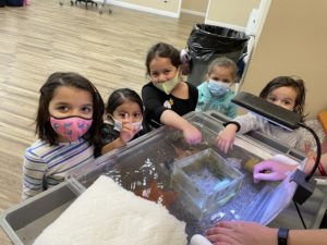 students at touch tank