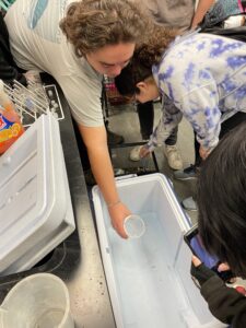 students catching baby trout from an aquarium and putting them in a cooler