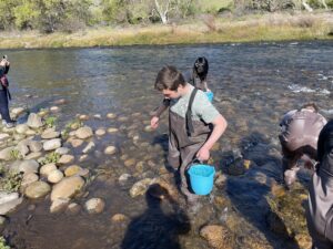 students wearing waders standing in a rocky section of a river holding blue plastic pails