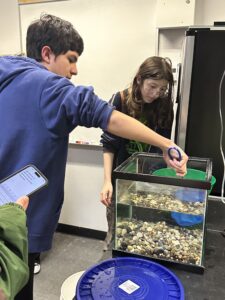 Two people interact with an aquarium filled with rocks and water. One is holding a phone, and the other is using a net to clean the tank. A blue lid is on the ground nearby. A whiteboard is visible in the background.