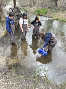 Four people standing in a shallow creek, wearing waders. One person is holding a blue bucket, looking into the water. Trees and plants are visible in the background. The ground is covered with leaves.