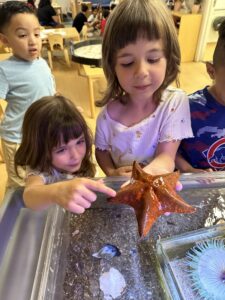 Two young children explore a water table, with one holding an orange sea star while the other points at it. Other children and classroom furniture are visible in the background.