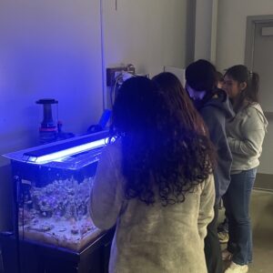 A group of people stands closely around a lit aquarium, observing the aquatic life inside. The room is dimly lit, highlighting the tank's blue glow. Various equipment is visible on and around the aquarium.