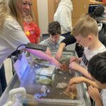 A group of children explores a touch tank filled with marine life. A woman supervises as kids eagerly touch various sea creatures. The indoor setting is a classroom with educational materials in the background.